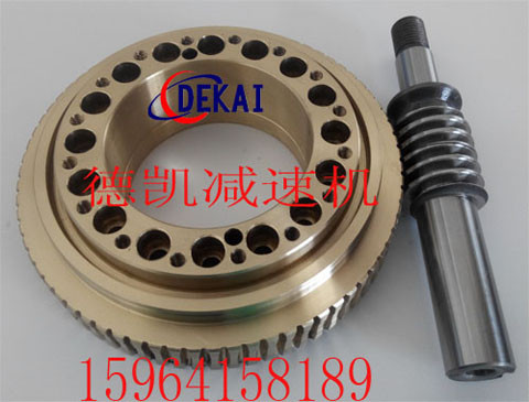 无间隙双导程蜗轮蜗杆副1.jpg