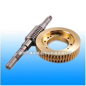 无间隙蜗轮副