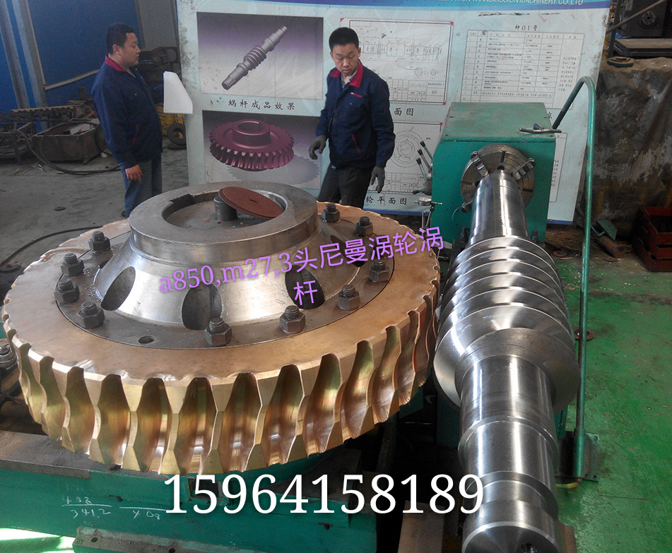 27模3头A850尼曼蜗轮蜗杆副2.jpg