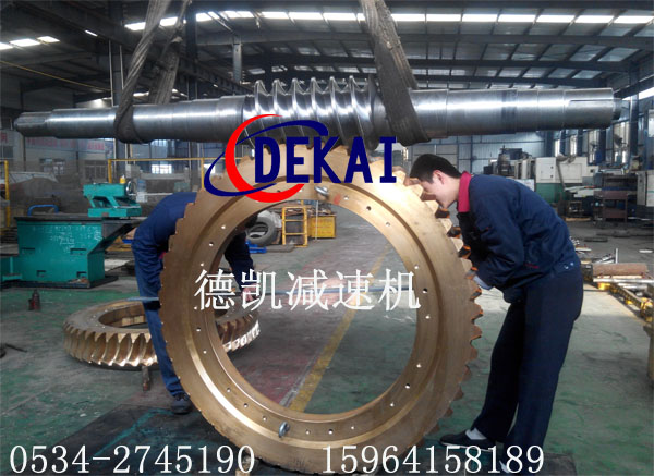 德凯公司精密双导程蜗轮副
