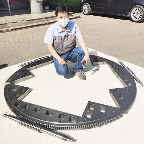 精密双导程无间隙蜗杆扇形蜗杆副