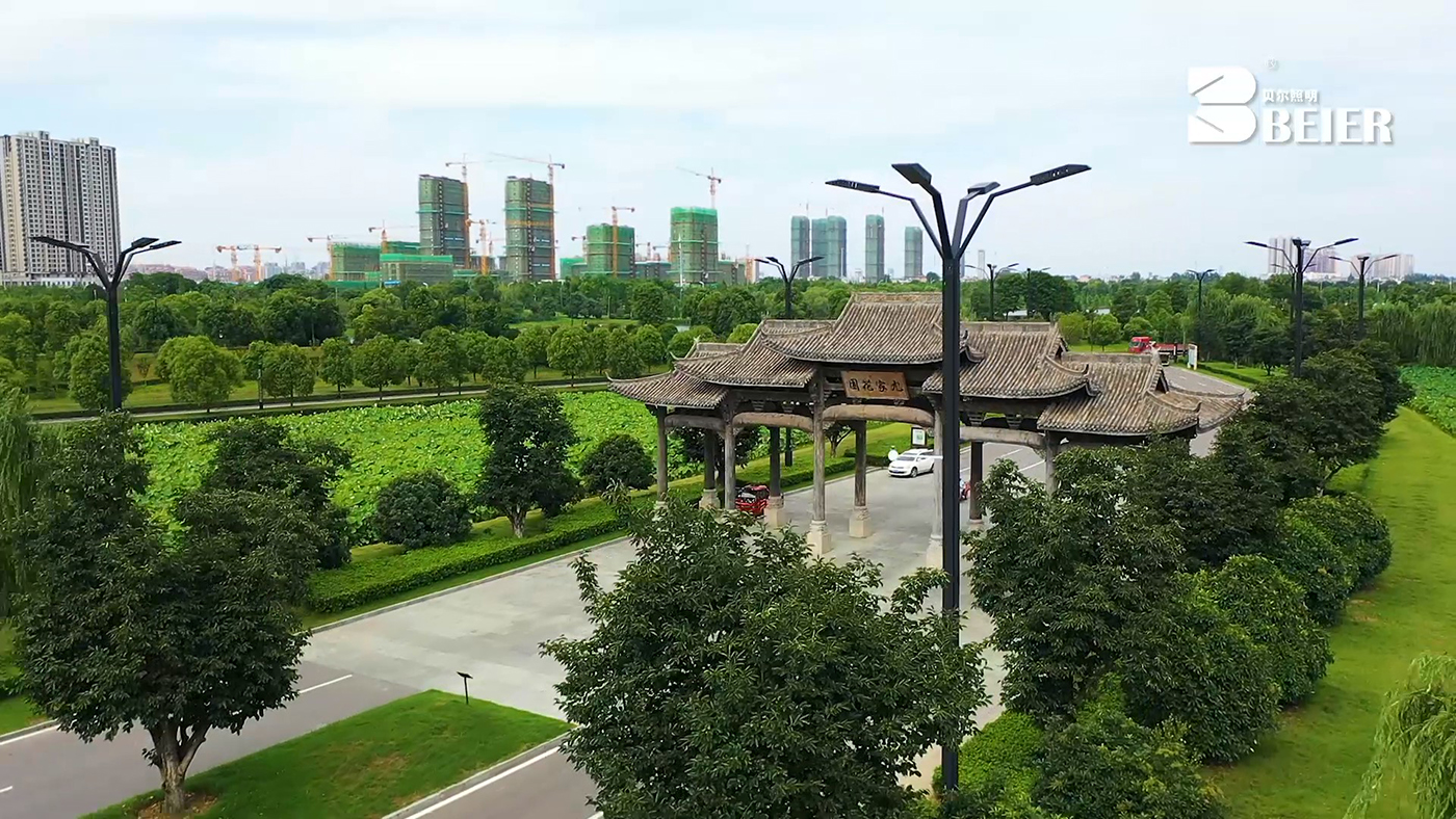 大行政版景观灯工程案例