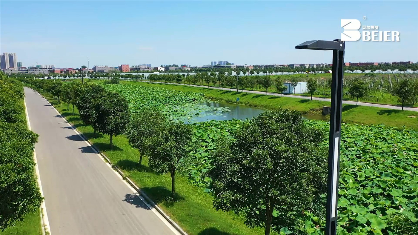 小行政版庭院灯工程案例