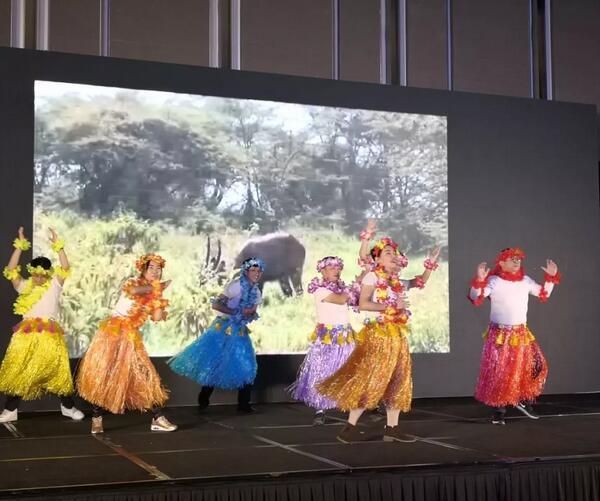 20190212_150320.jpg 20190212_150320.jpg