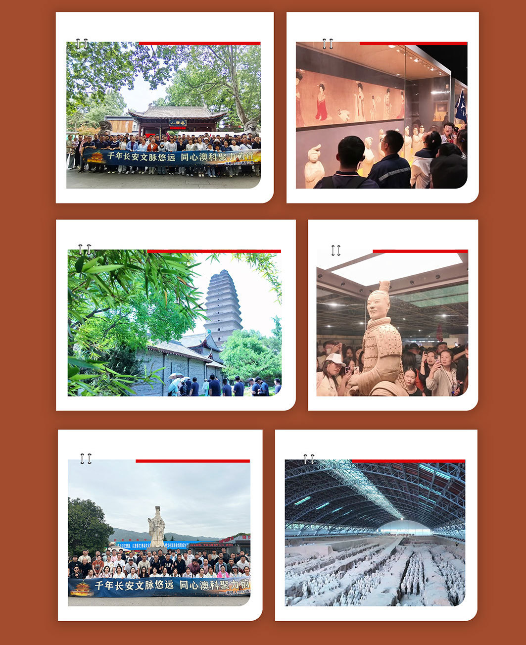 旅游_08