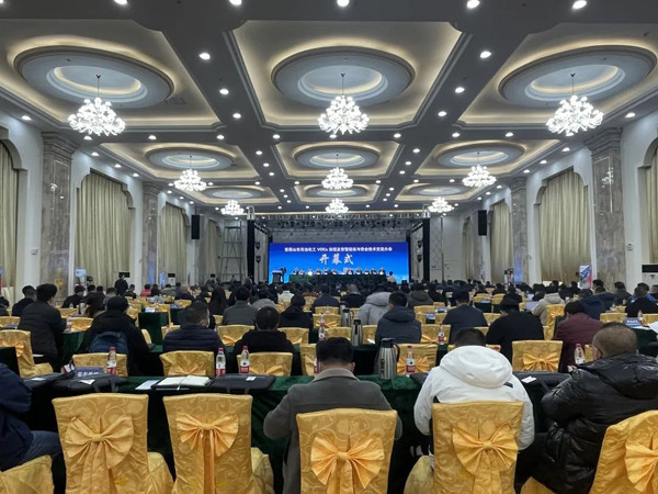 20230403_162530.jpg 20230403_162530.jpg