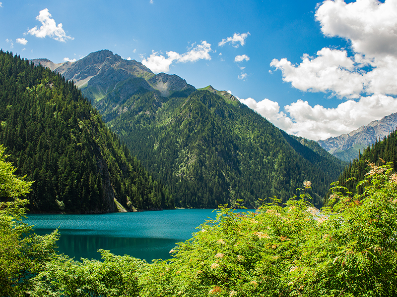 产业龙头率先受益万亿体量 再生资源行业“C位出道”