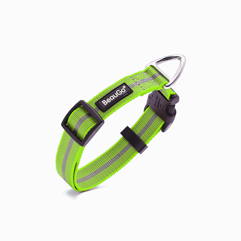 Collar - Classic buckle