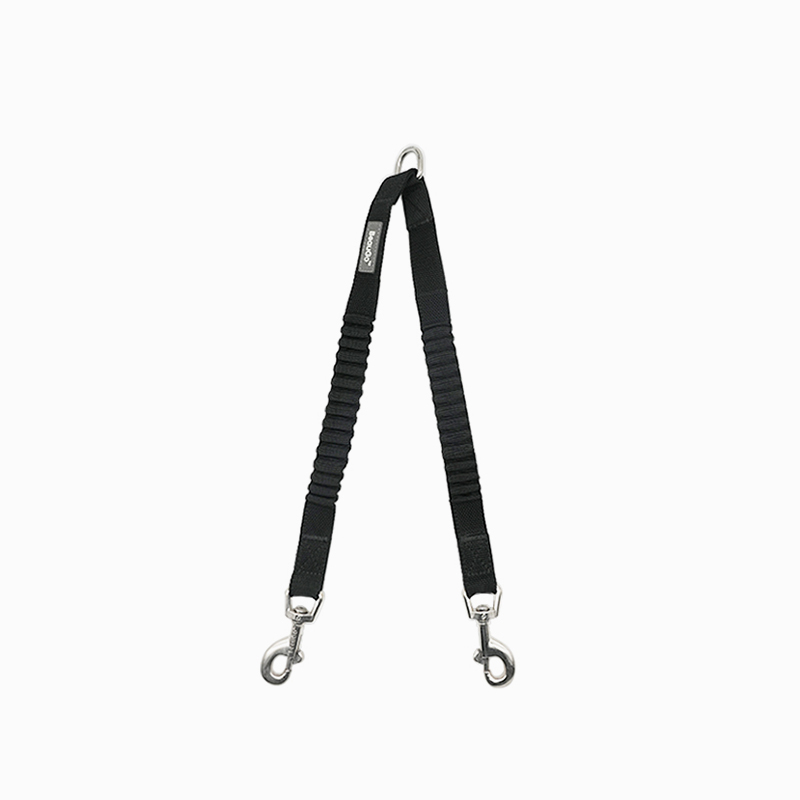 Double Dog Leash
