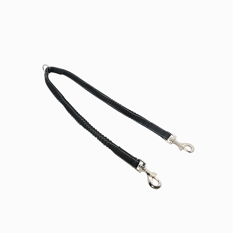 Double Dog Leash