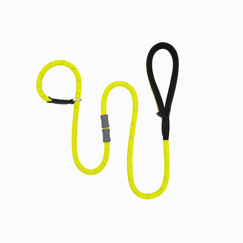 Classic Rubber Buckle Leash