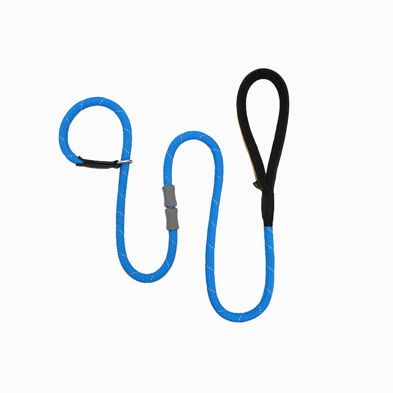 Classic Rubber Buckle Leash