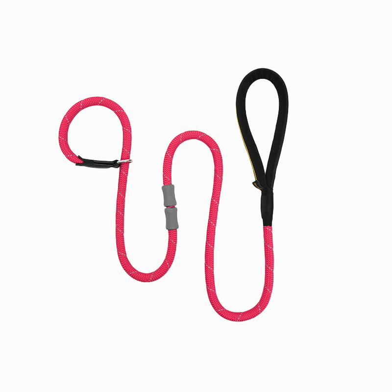 Classic Rubber Buckle Leash