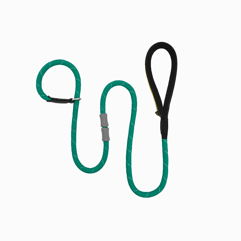 Classic Rubber Buckle Leash