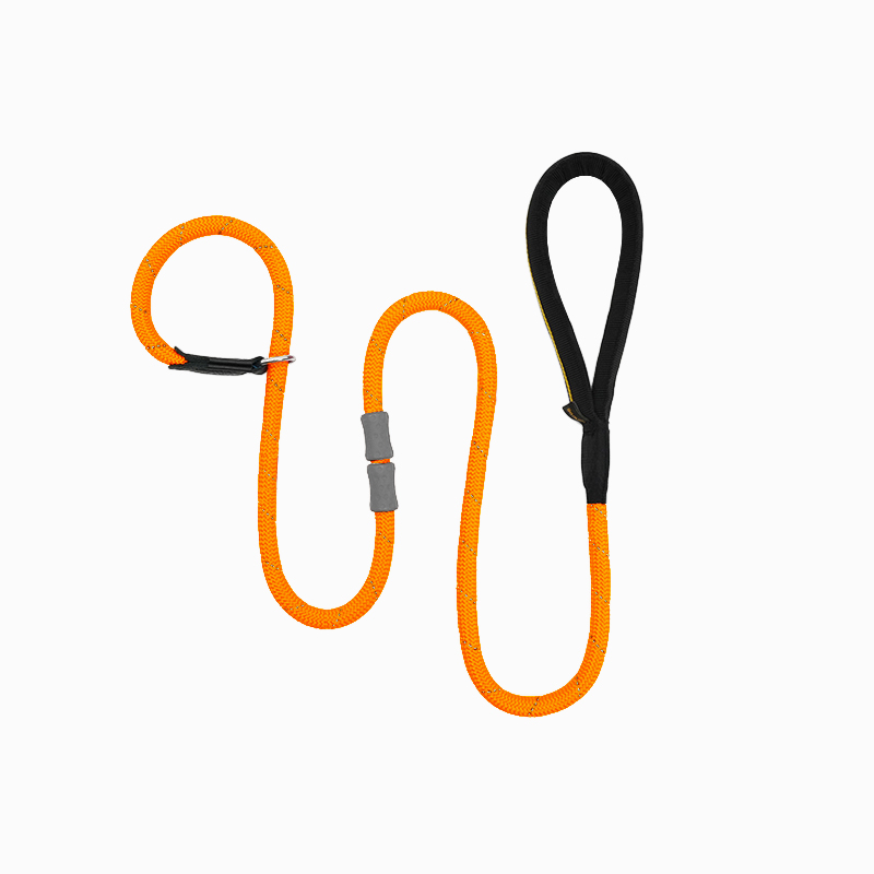 Classic Rubber Buckle Leash