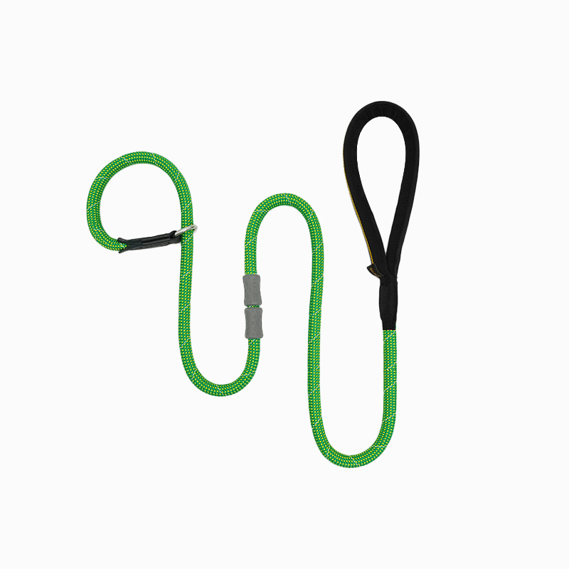 Classic Rubber Buckle Leash