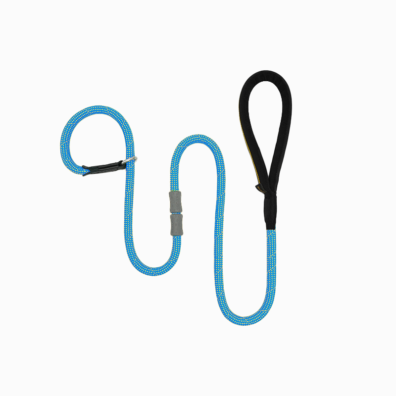 Classic Rubber Buckle Leash