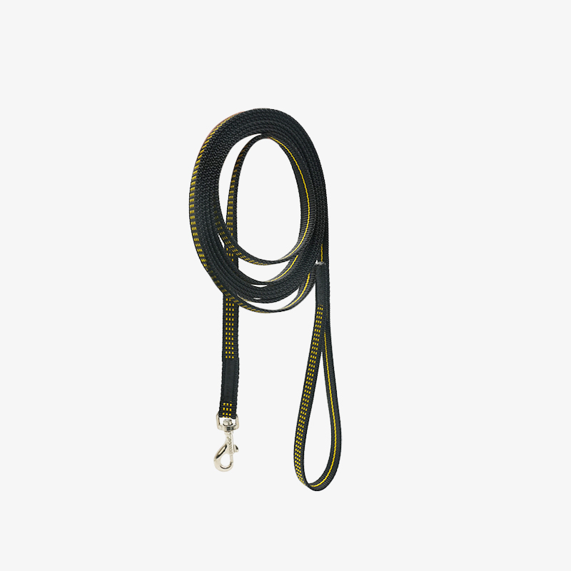 Training leash