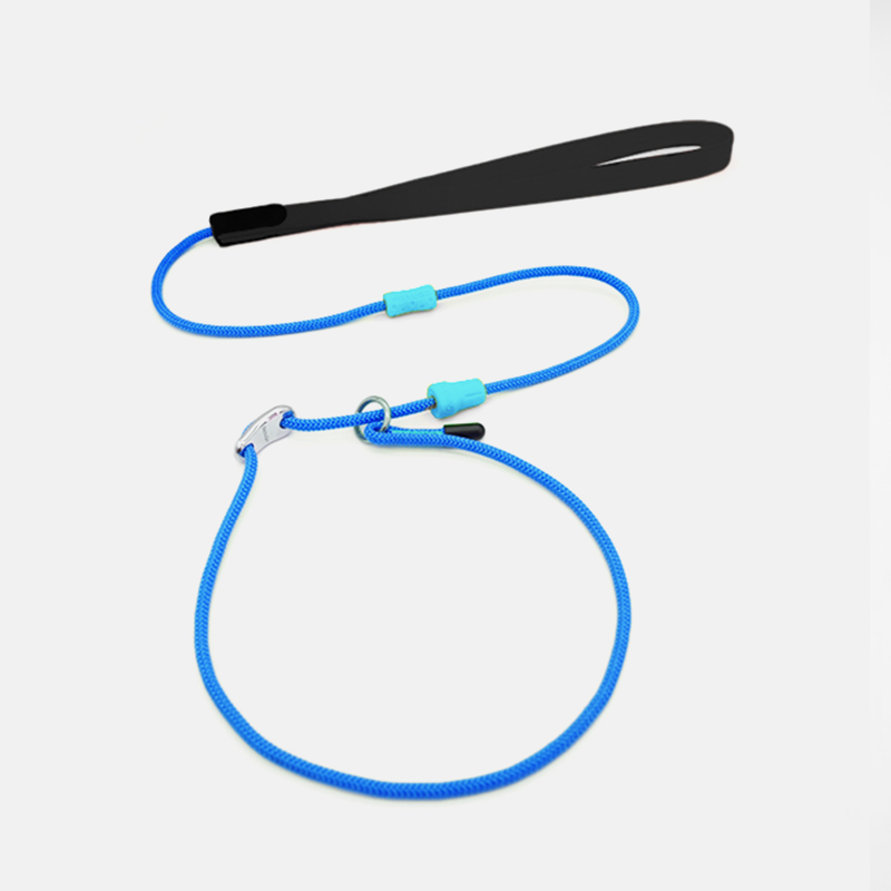 UU - Slip Leads for Dogs