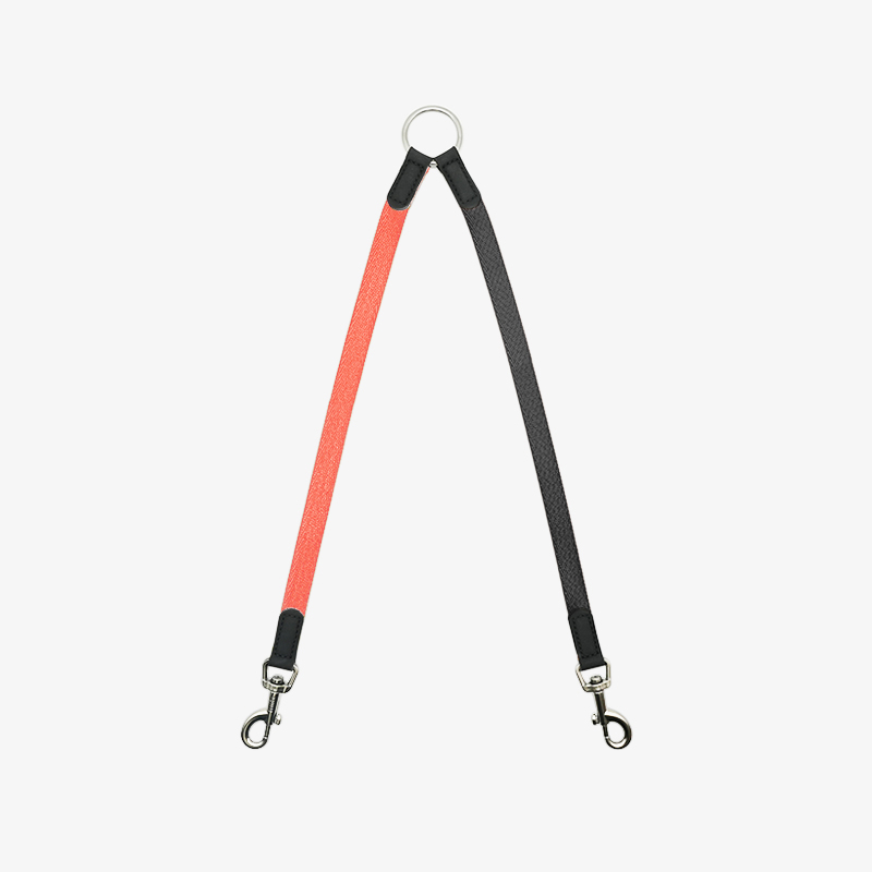 Double Dog Leash - Pi