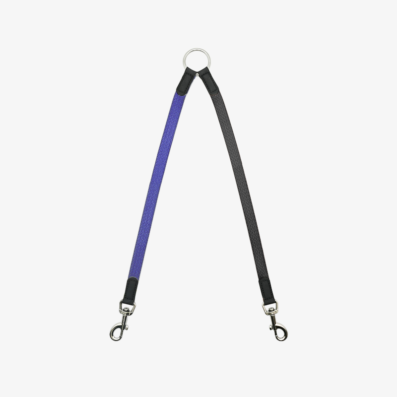 Double Dog Leash - Pi