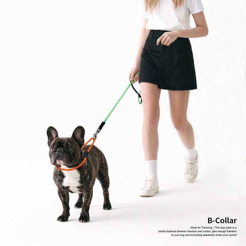 Classic Collar - B