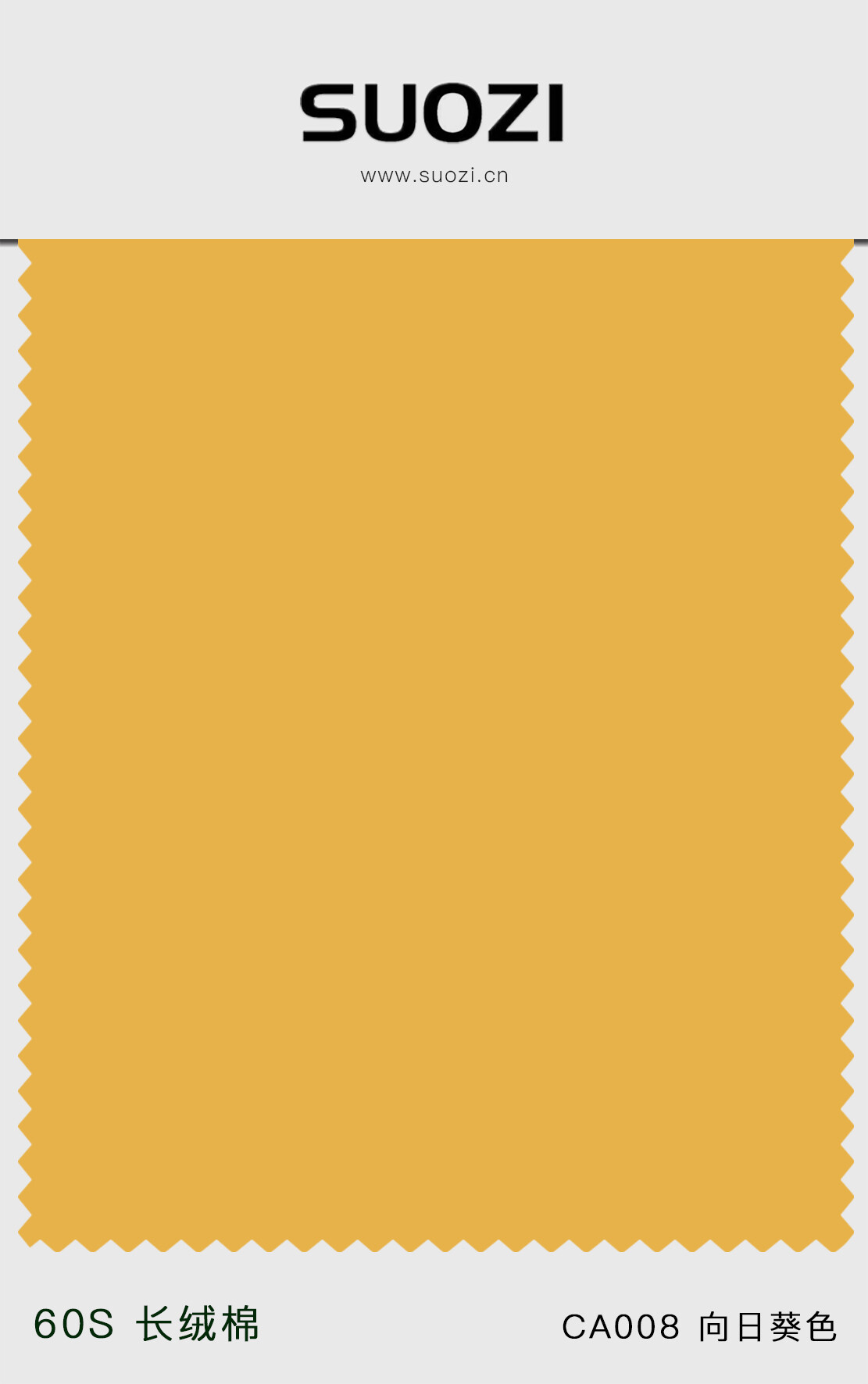 CA009 向日葵色.jpg