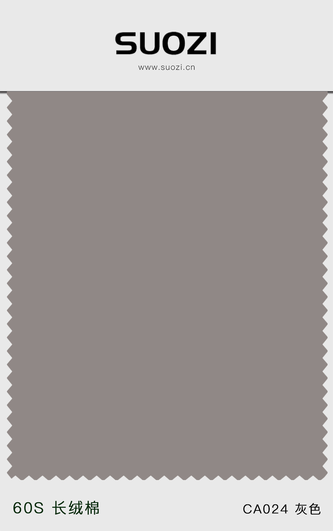 ca024  灰色.jpg