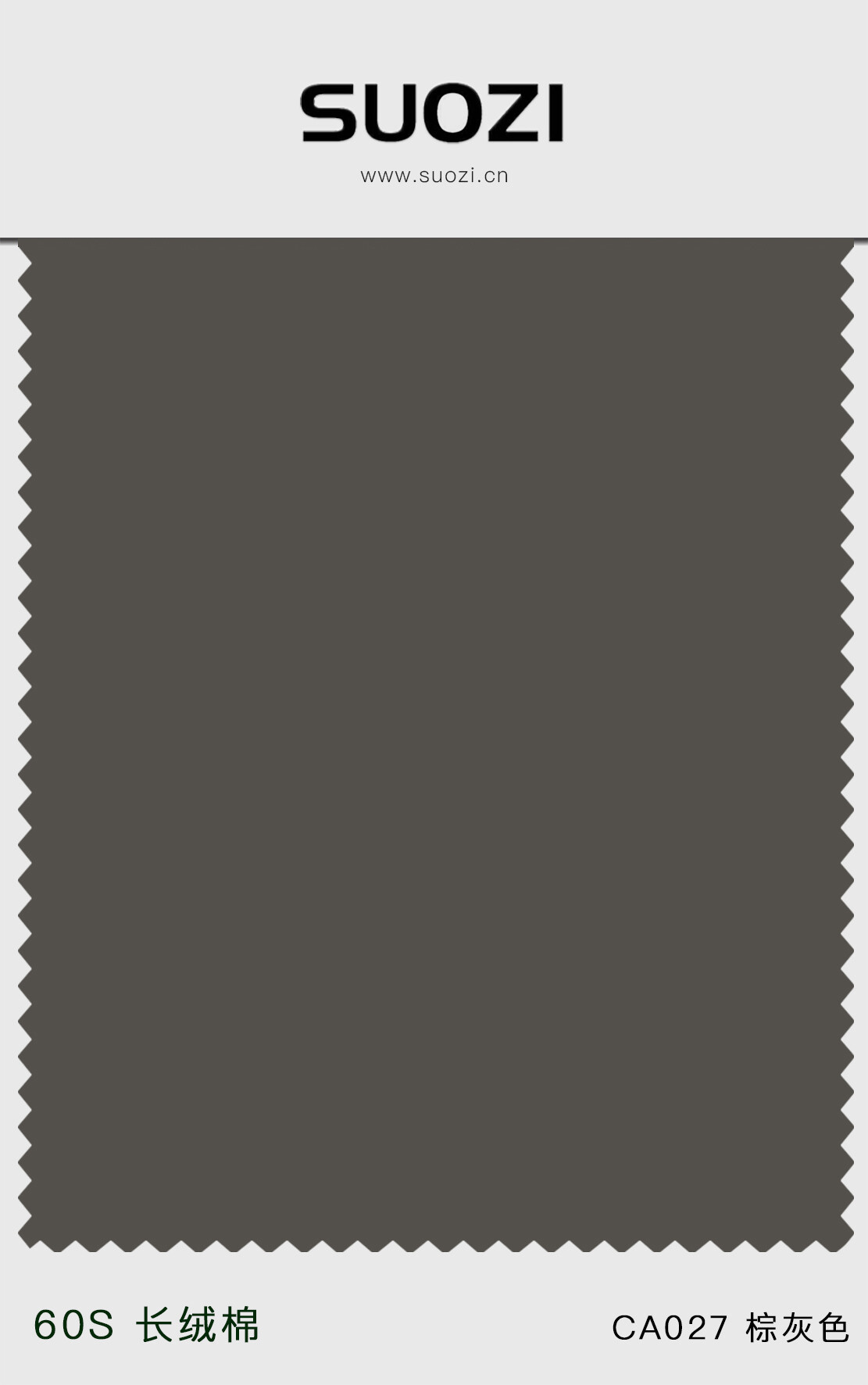 ca027 棕灰色.jpg