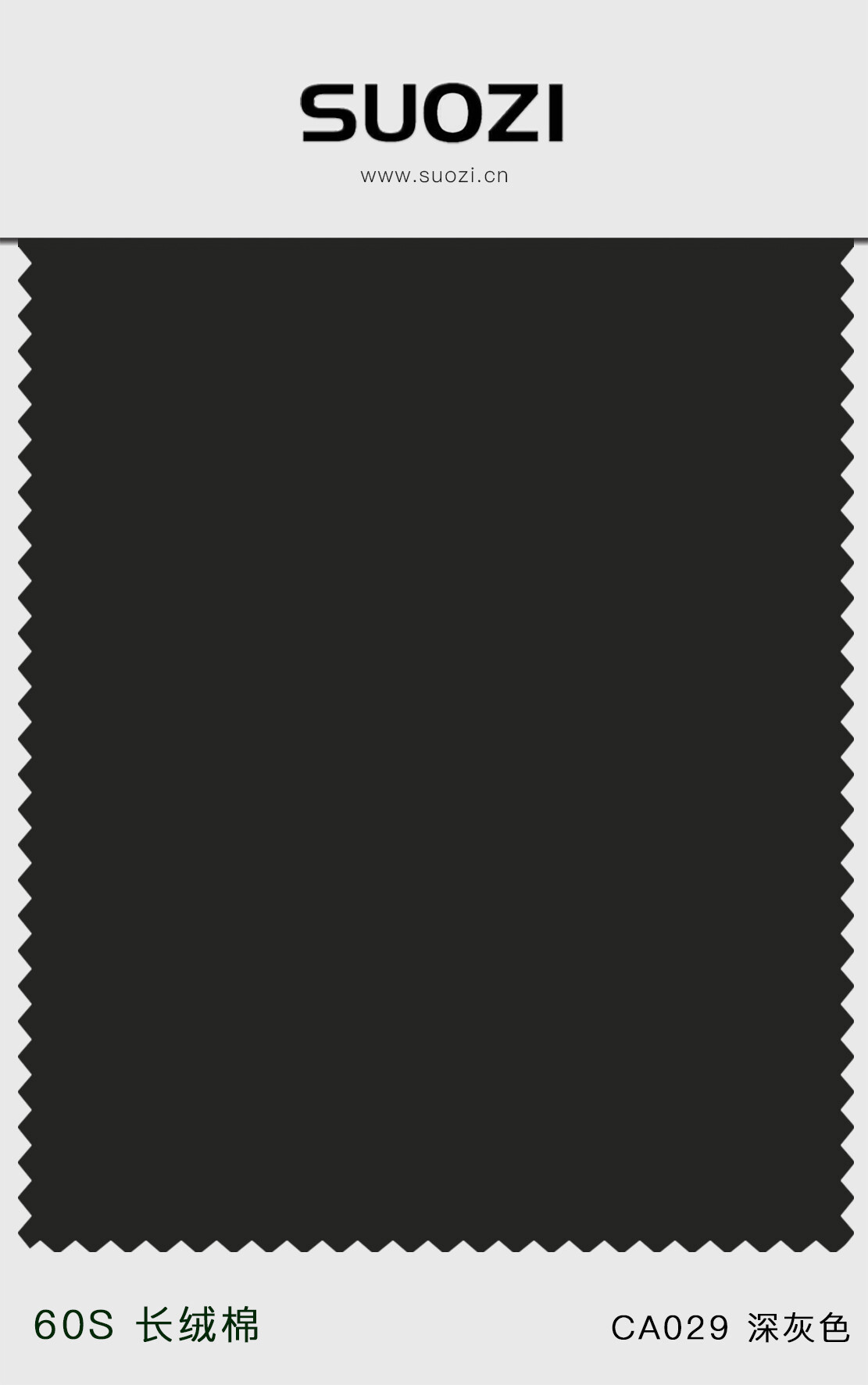 ca029 深灰色.jpg