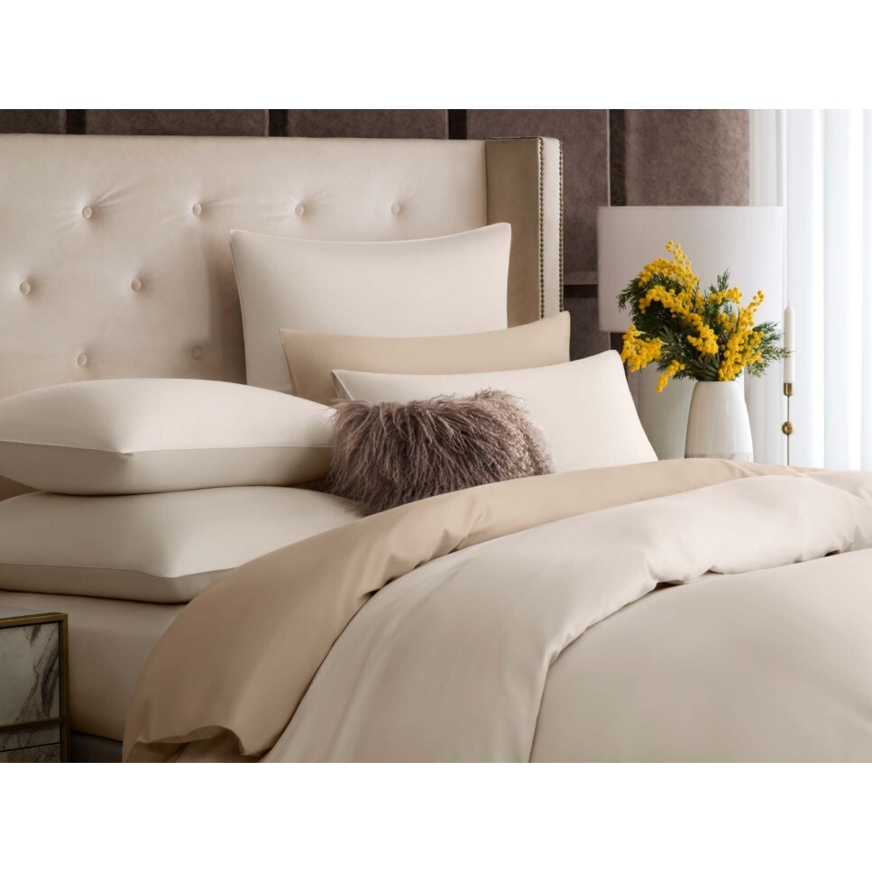 coloroom hotelcollection