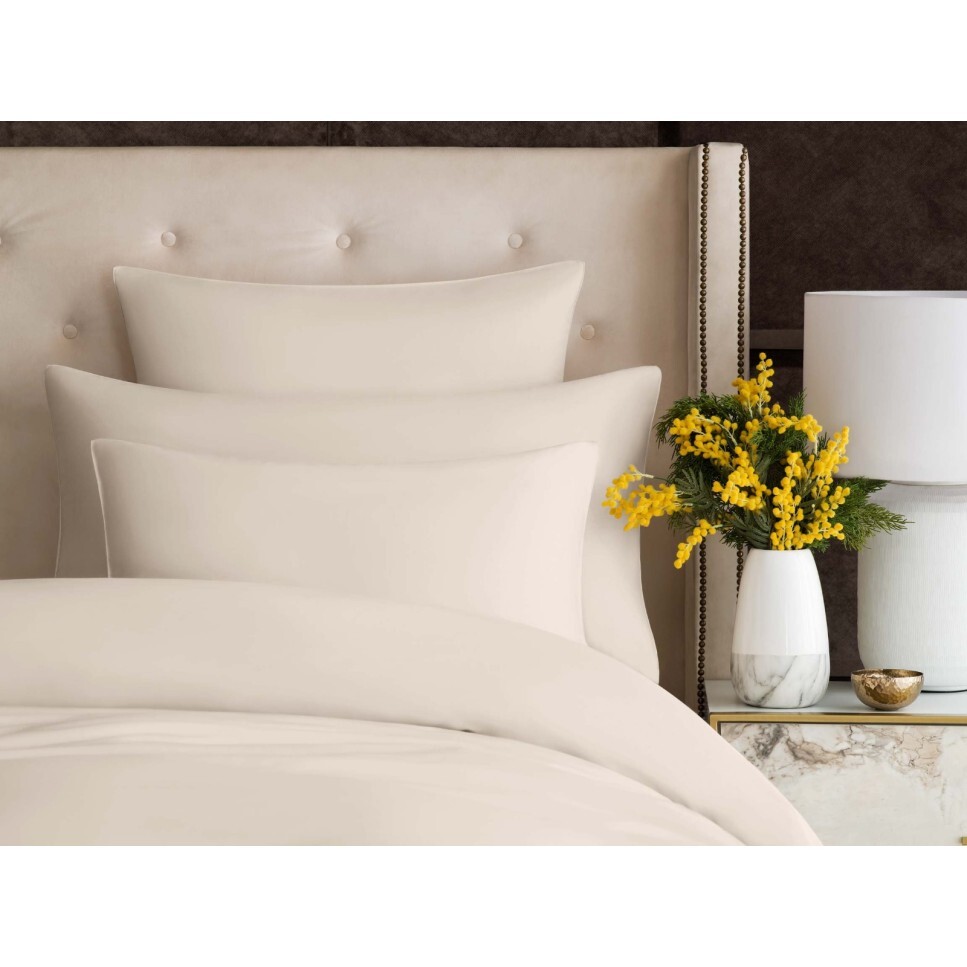 coloroom hotelcollection