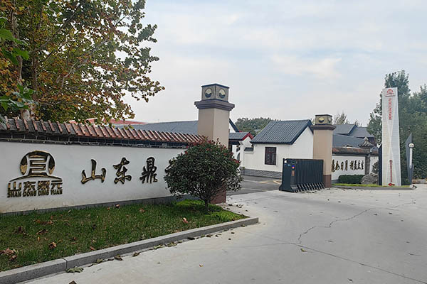 Group Branch-Shandong Dingyuan