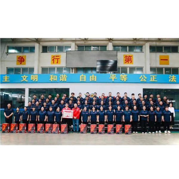 喜报！小鸭控股集团集体和多名个人获市国资委系统“两优一先”表彰