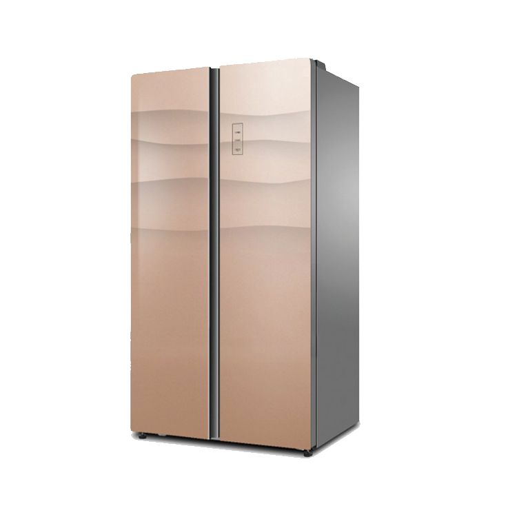 双温双控 变频风冷BCD-459WEDGPS