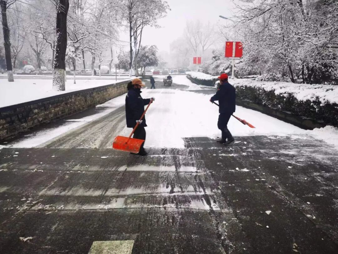 初雪降临寒意浓 凌晨除雪保畅通 | 小鸭资产运营圆满完成清扫积雪工作