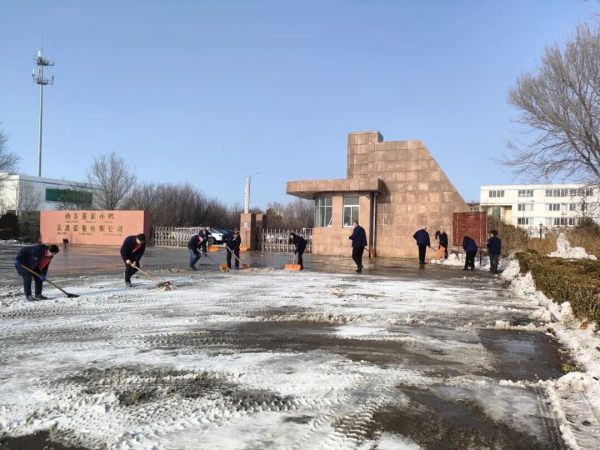 党员先锋在行动，齐心协力除冰雪 | 小鸭洗涤机械公司举行主题党日活动