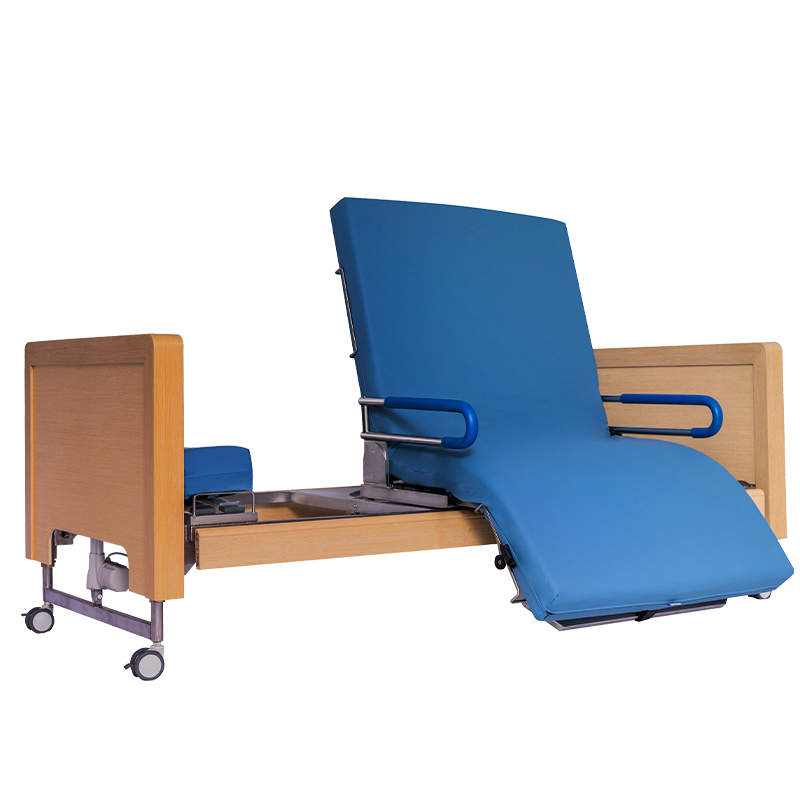 迪赛姆 升级版电动护理床老人瘫痪床医用床老年多功能家用医疗床