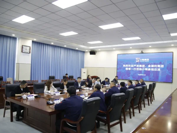 小鸭控股集团与金德利集团签署战略合作协议