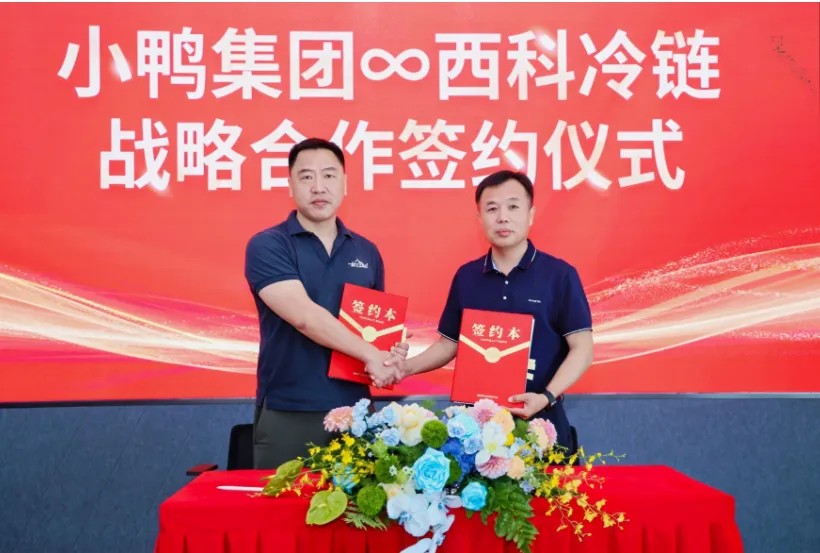 1751520792799269895304863744.png 图片