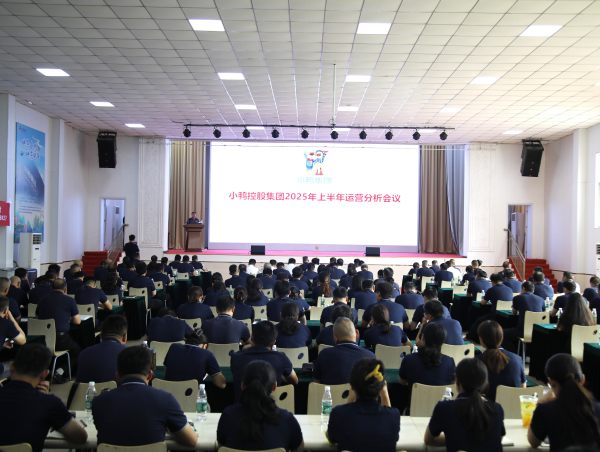 明确发展目标 理清发展思路 保持战略定力丨小鸭控股集团召开2025年上半年运营分析会议