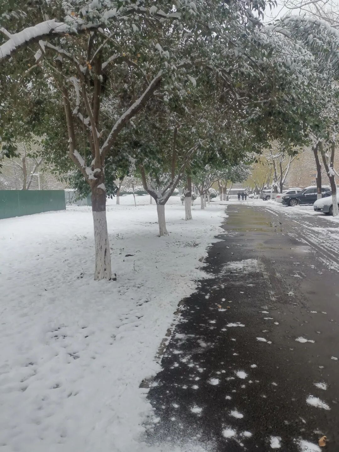 1765847883859362067472384000.jpg 图片