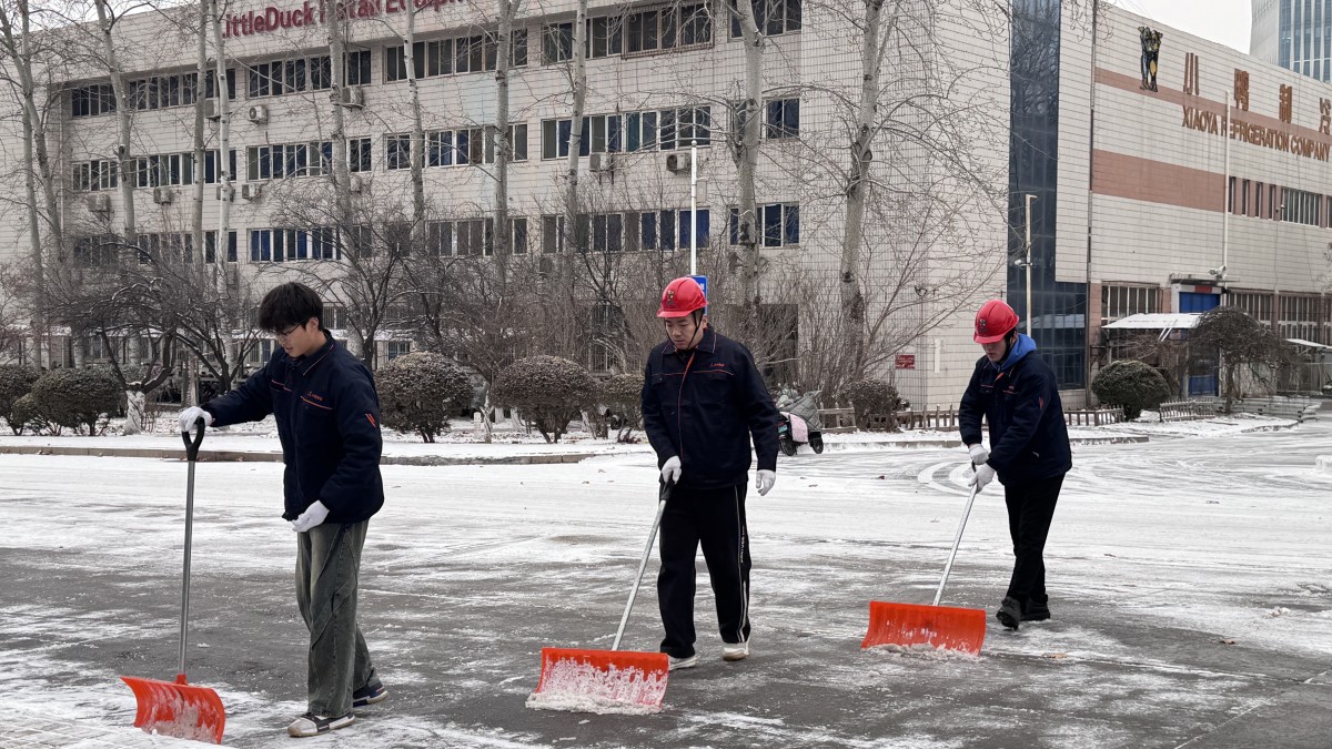 微信图片_20260119145500_1197_299 微信图片_20260119145500_1197_299