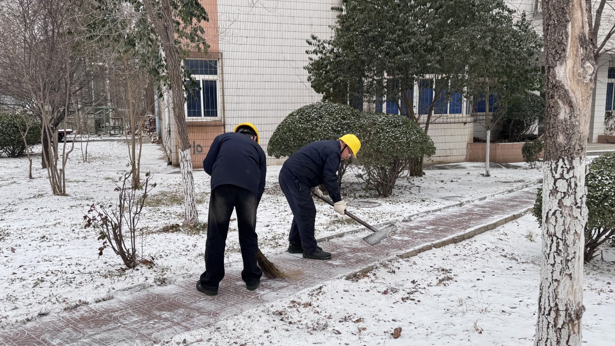 微信图片_20260119145532_1198_299 微信图片_20260119145532_1198_299