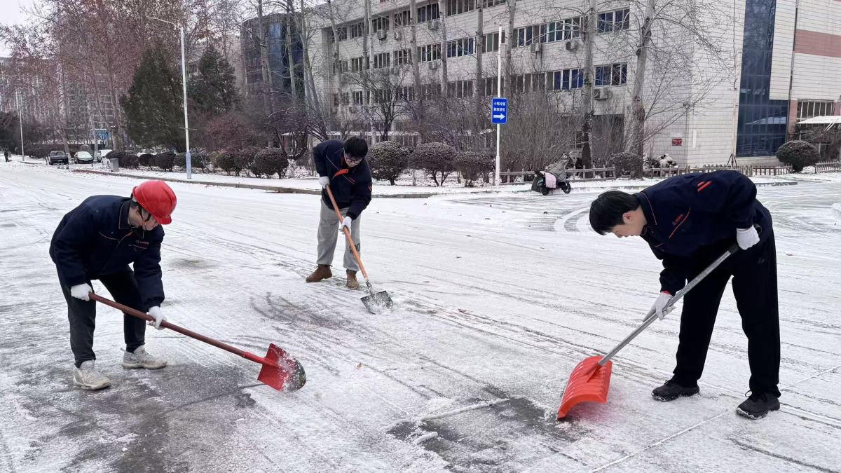 微信图片_20260119150518_1206_299 微信图片_20260119150518_1206_299