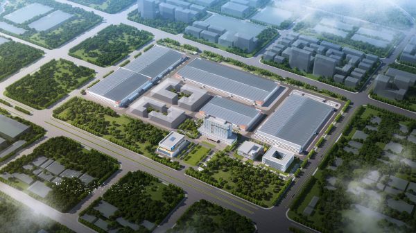 媒體聚焦丨山東新聞聯(lián)播報(bào)道小鴨！