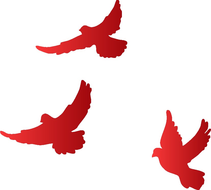 1780052734918941531838984192.png 图片