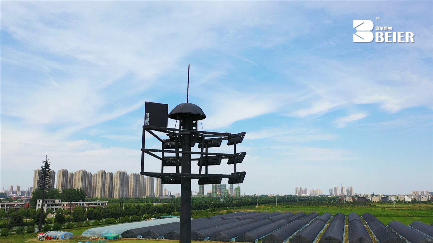 Stadium high pole lighting project case