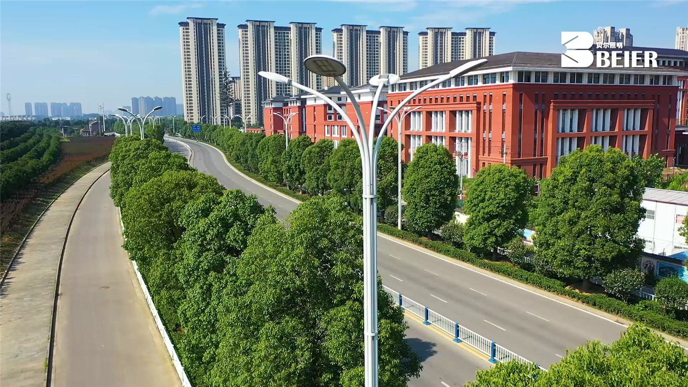 Hubble Landscape Lighting Project Case