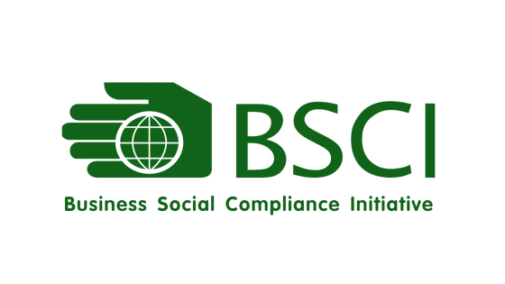 What does social responsibility factory audit mainly test?